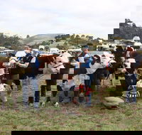 Noorat Show - Darwin Holiday