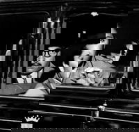 Online Film Screening I Vitelloni - Darwin Holiday