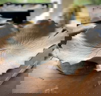 Online live streaming class DIY Clay Hand Building for Beginners - Darwin Holiday