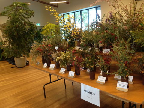 Pomonal Native Flower Show - Darwin Holiday 2