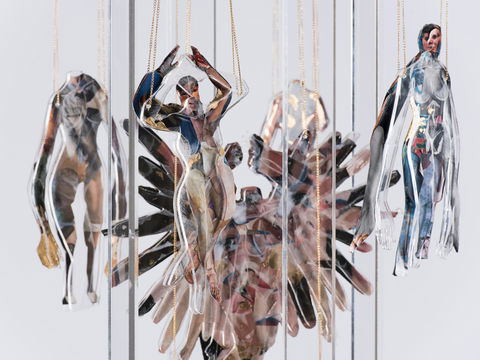 Pulse Perspectives - Virtual Exhibition - Darwin Holiday 0