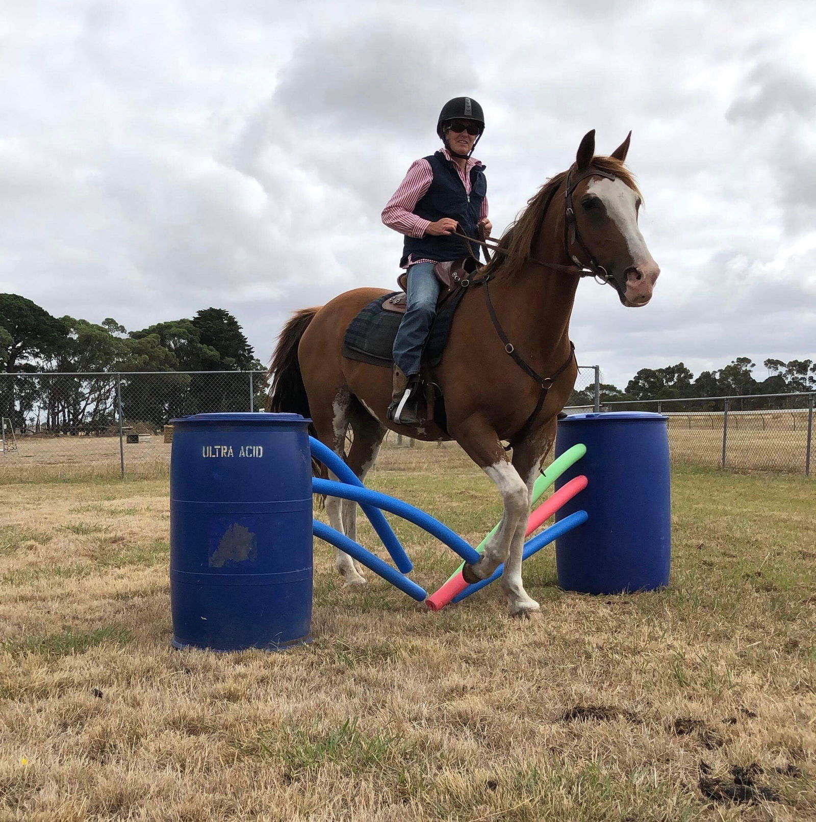 Penshurst VIC Darwin Holiday