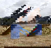 Rouse Roundup - Darwin Holiday