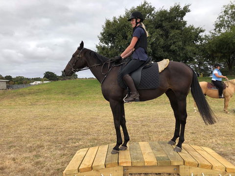 Rouse Roundup - Darwin Holiday 1