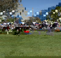 Sakura Matsuri  - Cherry Blossom Festival - in doubt due to Covid-19 - Darwin Holiday