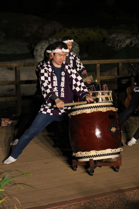 Sakura Matsuri  - Cherry Blossom Festival - In Doubt Due To Covid-19 - Darwin Holiday 1