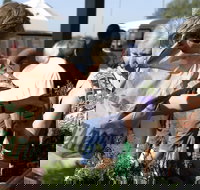 Sale  Producers Market - Darwin Holiday