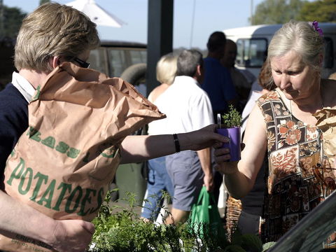 Sale  Producers Market - Darwin Holiday 0