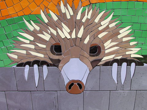 SALA 2020 - Colour Our World - Darwin Holiday 0