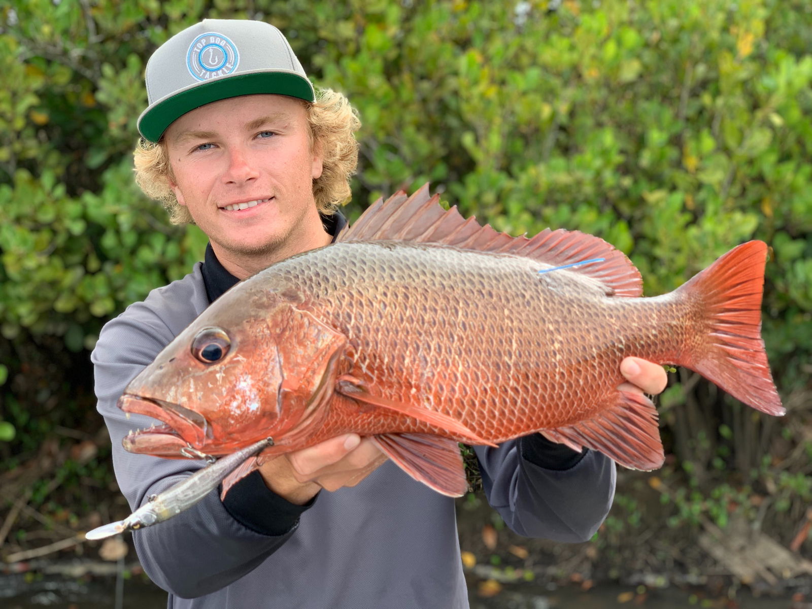 Diddillibah QLD Darwin Holiday