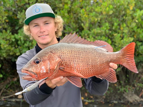 SCF Research And Sustainability Competition - Darwin Holiday 0