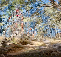 Shimano Mountain Bike Grand Prix  Logan - Darwin Holiday