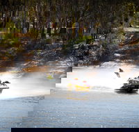 Southern 80 - Darwin Holiday