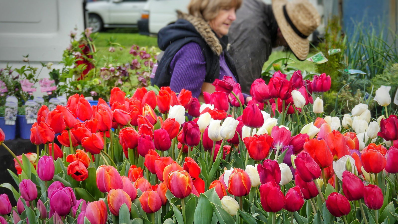 Taunton SA Darwin Holiday