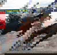 Stroud Rodeo and Campdraft - Darwin Holiday