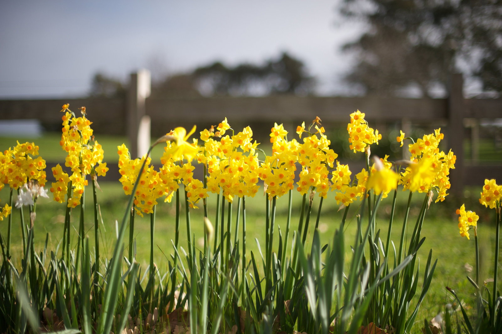 Merricks VIC Darwin Holiday