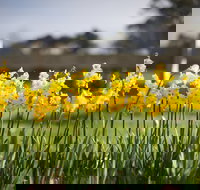 Sunday at Cruden Farm - Darwin Holiday