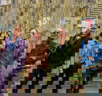 The Whitlams Gaffage and Clink 2020 featuring Ben Lee and Emily Wurramara - Darwin Holiday