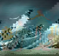 The Ring Cycle - Darwin Holiday