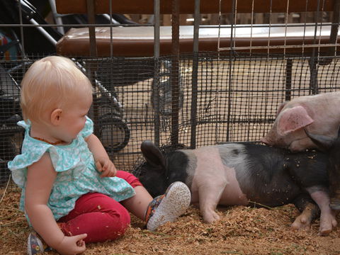 The Gunnedah Show - Darwin Holiday 1