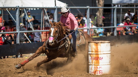 The Gulf Country Frontier Days Festival - Darwin Holiday 2