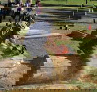 Tocal Field Days - Darwin Holiday