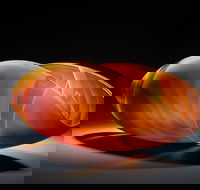 Tom Malone Prize - Darwin Holiday