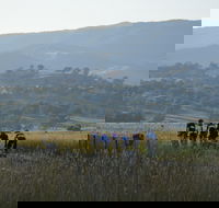 Tumut Cycle Classic - Darwin Holiday