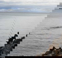 Whale Watching in Portland - Darwin Holiday