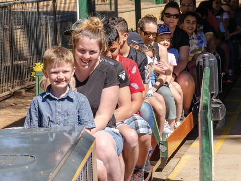 Willans Hill Miniature Railway Rides: Open Days - Darwin Holiday 0