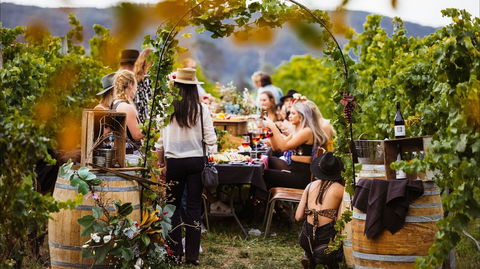 Wine Machine - NEW DATE - Darwin Holiday 1