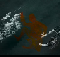 Wolfgangs Magical Musical Circus - Darwin Holiday