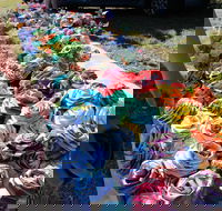 Wynyard Foreshore Market - Darwin Holiday