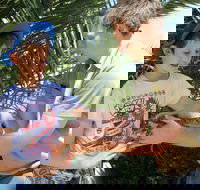 Zoocation at the National Zoo  Aquarium - Darwin Holiday