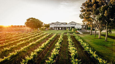 Aged Wine And Vintage Pies - Darwin Holiday 2