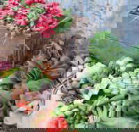 Ma Ma Creek Markets - Darwin Holiday