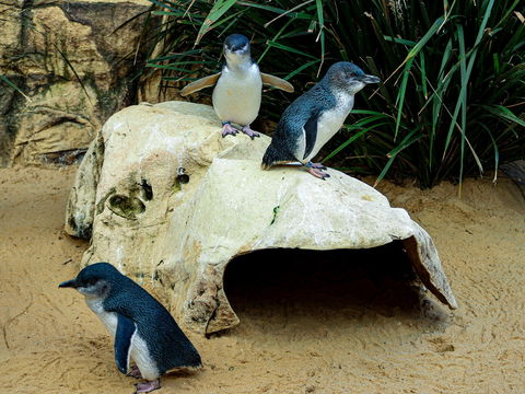 Sydney's Aquarium - Darwin Holiday 2