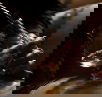 Tasmanian Whisky Week - Darwin Holiday