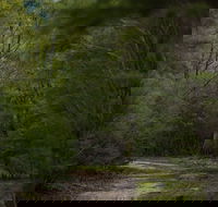 Yering Gorge Cottages - Darwin Holiday