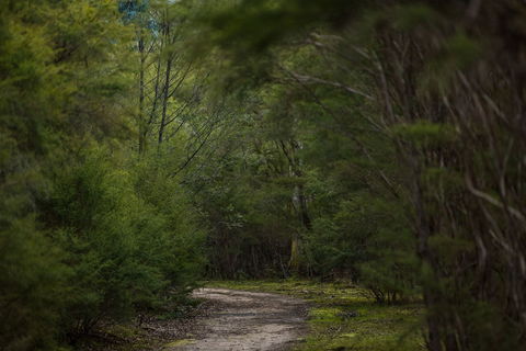 Yering Gorge Cottages - Darwin Holiday 0