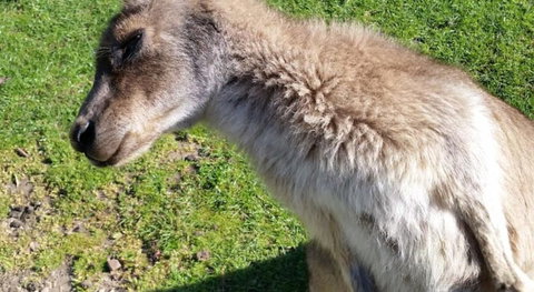 Ningaloo Lodge Exmouth - Darwin Holiday 2