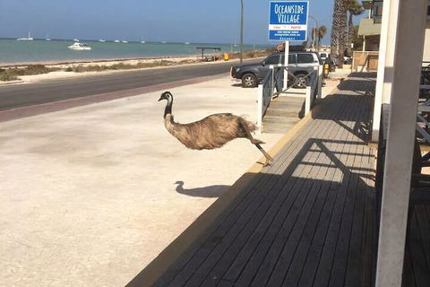 Oceanside Village - Darwin Holiday 6