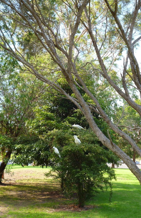 Coachman's Eden - Darwin Holiday 4