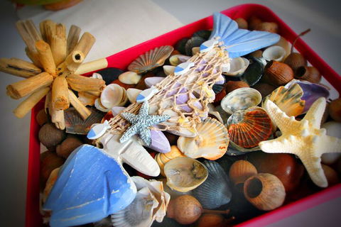 Merimbula Sea Spray Motel (Adult Only) - Darwin Holiday 7