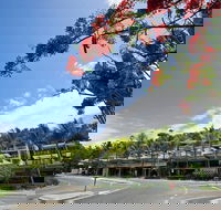 Coconut Grove - Darwin Holiday