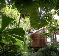 Daintree Wilderness Lodge - Darwin Holiday