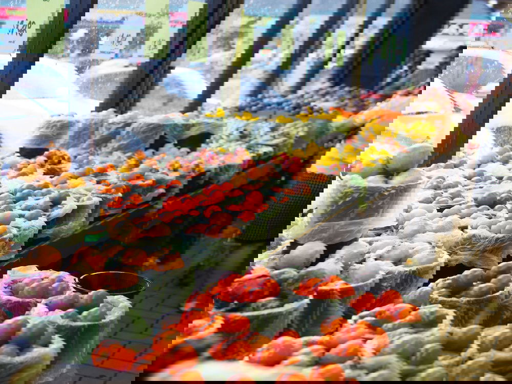 Runcorn QLD Darwin Holiday