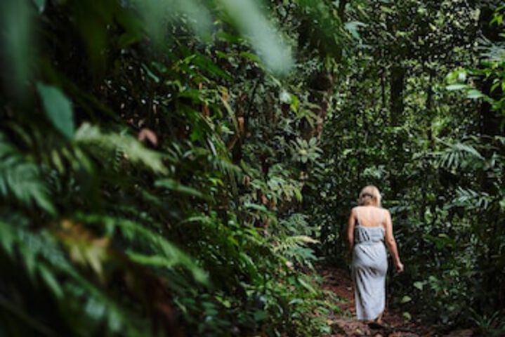 Lower Daintree QLD Darwin Holiday