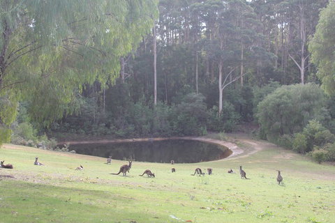 Marima Cottages - Darwin Holiday 7