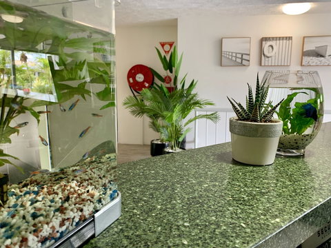 Outrigger Burleigh - Darwin Holiday 6